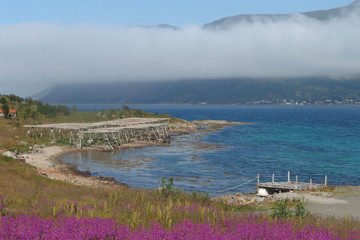 Norweskie wyspy Lofoty - wybrzeże z drewnianymy stelażami do suszenia ryb (sztokfisz) © Iwona