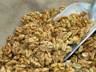 Walnuts. Scoop with peeled walnuts on burlap