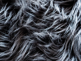 Texture fluffy grey