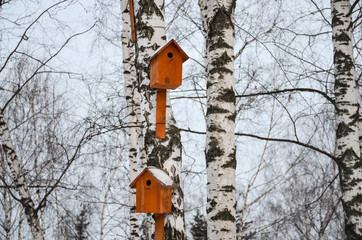  Bird houses