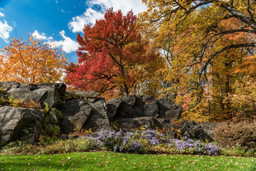 Fall landscape with rocks