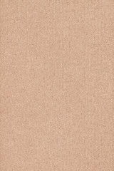Fototapeta na wymiar Recycled Striped Brown Manila Kraft Paper Coarse Grunge Texture