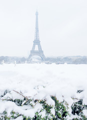 Eiffel Tower in Winter in Paris France