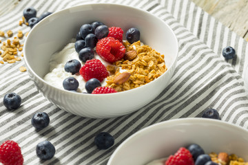Healthy Organic Greek Yogurt with Granola and Berries