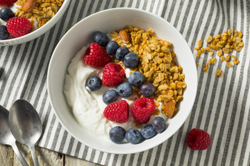 Healthy Organic Greek Yogurt with Granola and Berries