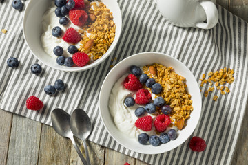 Healthy Organic Greek Yogurt with Granola and Berries