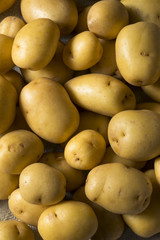 Raw Organic Yellow Baby Potatoes