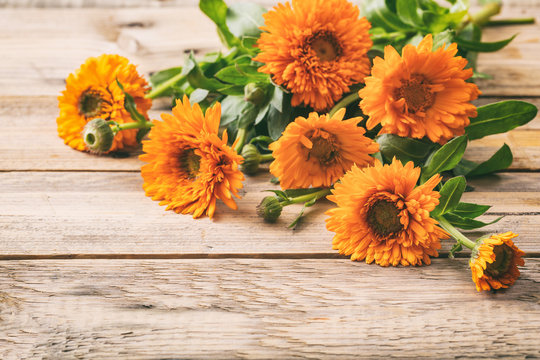 Calendula on wooden table, copy space, details