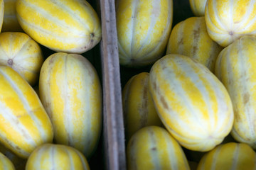 Box of Golden sweet melon for sale