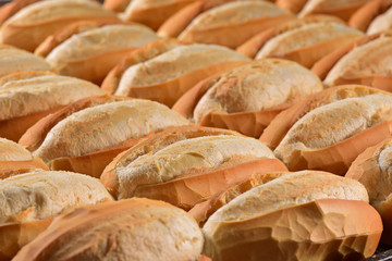White breads