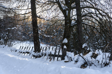 Leśny, wiejski płotek. © Marcin