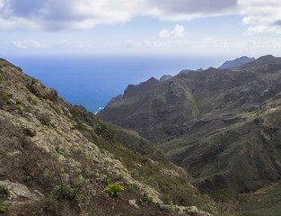 Fototapeta na wymiar lava rock cliff with small green vegetation, blue sea horizon and sky with white clouds in anaga mountain tenerife