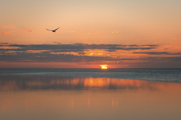 Fototapeta na wymiar Cabo Ocean Sunrise