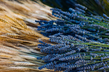 Close up picture of a bouquet with lavender and ears of wheat