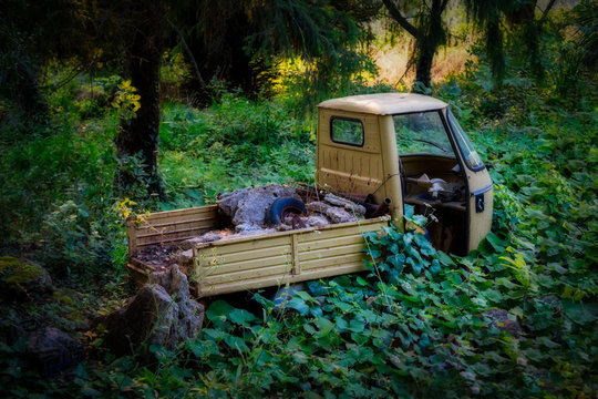 verlassenes auto von pflanzen &uuml;berwachsen