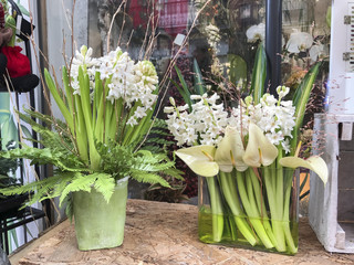 White hyacinths in a vase