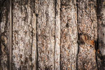 Old Wood Background