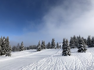 ski road under the snow. france 