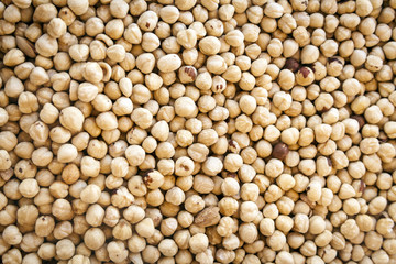 Background of hazelnuts