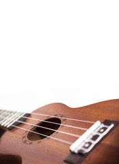 Obraz premium The brown ukulele guitar