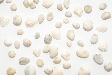 Marine decorative background of small pebbles and shells
