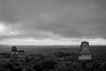 Blick über den Regenwald mit dem Tempeln von Tikal