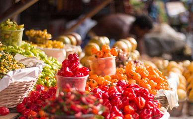 Various peppers for sale at the Fair