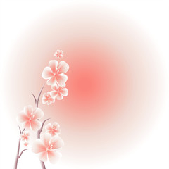 Branches of Sakura with Pink flowers isolated on Pink gradient background. Apple-tree flowers. Cherry blossom. Vector