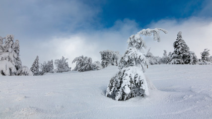Brocken Winter