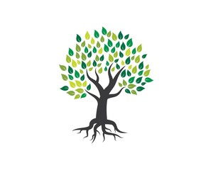 Obraz premium Tree icon logo template