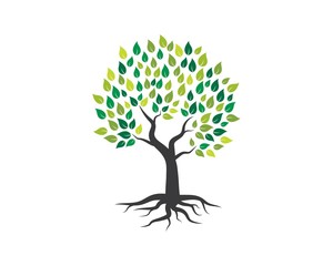 Naklejka premium Tree icon logo template