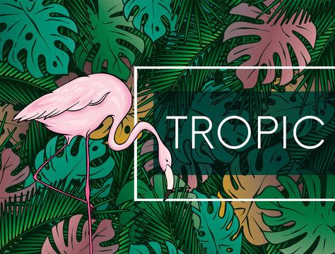 Stylish background with palm leaves. Beautiful concept design of a tropical poster, banner, cover or postcard. Vector illustration. Eps 10. Summer.