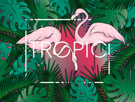 Stylish background with palm leaves. Beautiful concept design of a tropical poster, banner, cover or postcard. Vector illustration. Eps 10. Summer.