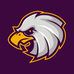 eagle mascot logo for sport team