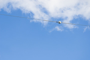 玉がいし　電線　空　素材
