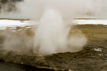 Fototapeta na wymiar Steaming geyser vents at Fountain Paint Pots in Yellowstone National Park