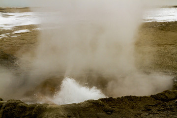 Steaming geyser vents at Fountain Paint Pots in Yellowstone National Park