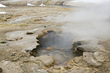 Steam from geyser vents at Fountain Paint Pots in Yellowstone National Park