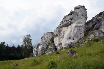 Rock formation in Krakow Czestochowa Upload. Polish Jurassic Highland. - obrazy, fototapety, plakaty