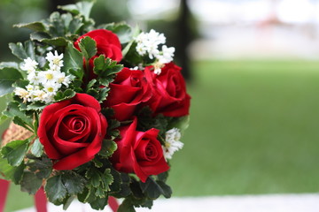 Red rose bouquet