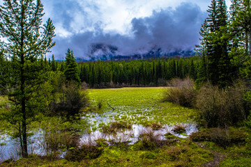 Yellowstone National Park, Wyoming