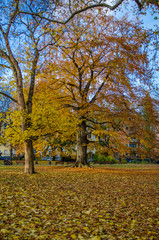 Naklejka premium Frankfurt