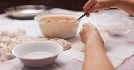 Obraz na płótnie Canvas Homemade meat dumpling
