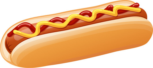 Hot Dog with Ketchup and Mustard Vector Illustration