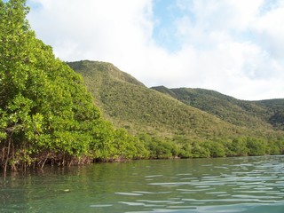 Fototapeta na wymiar beach and mountain in the caribbean