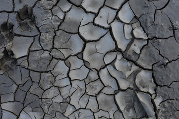 Dry soil cracking