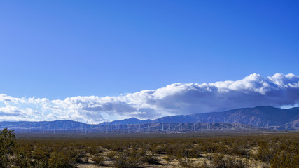 Desert Landscape
