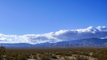 Obraz na płótnie Canvas Desert Landscape