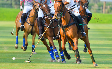 Selective focus the Horse Polo players - obrazy, fototapety, plakaty