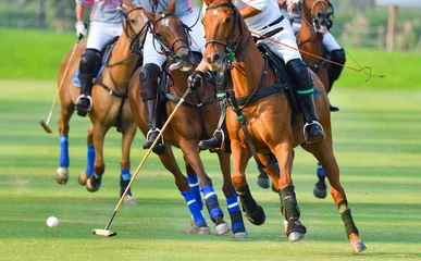 Tuinposter Selective focus the Horse Polo players © Hola53